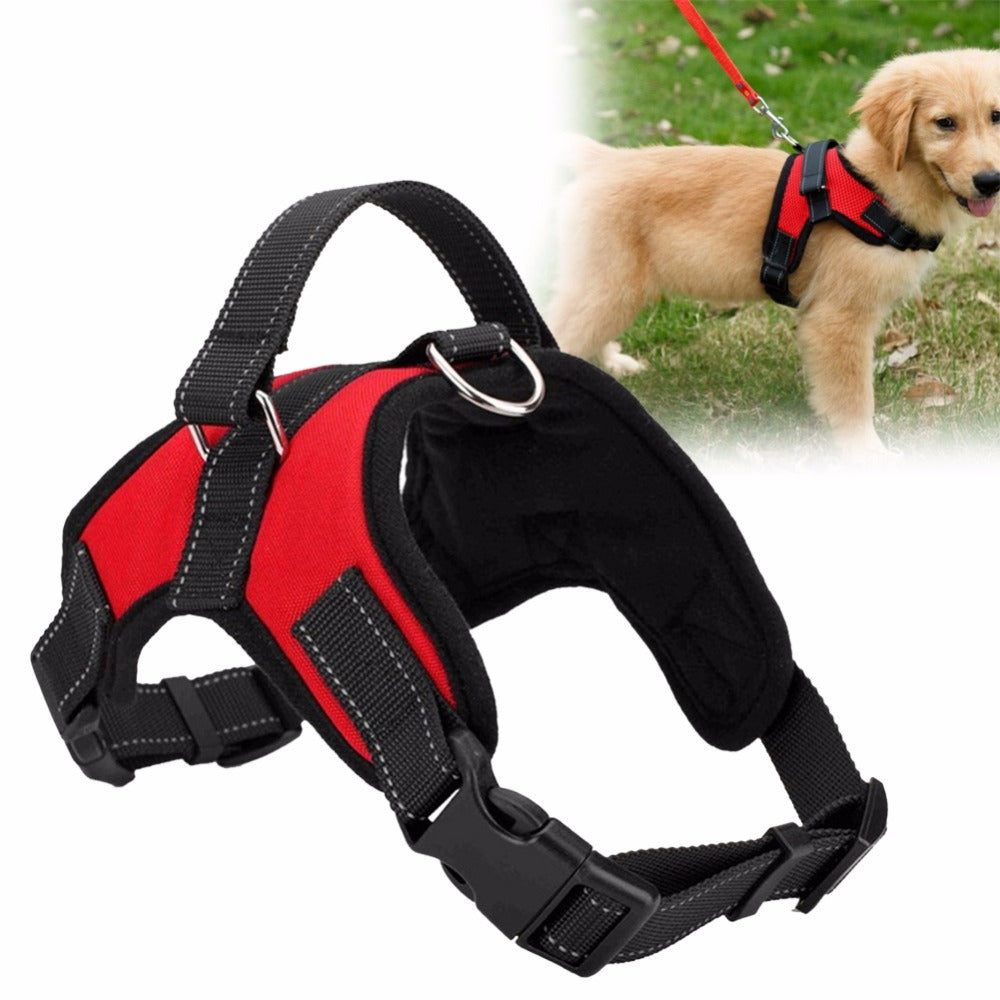 Fast Shipping Adjustable Dog Pet Harness for Secure Comfort