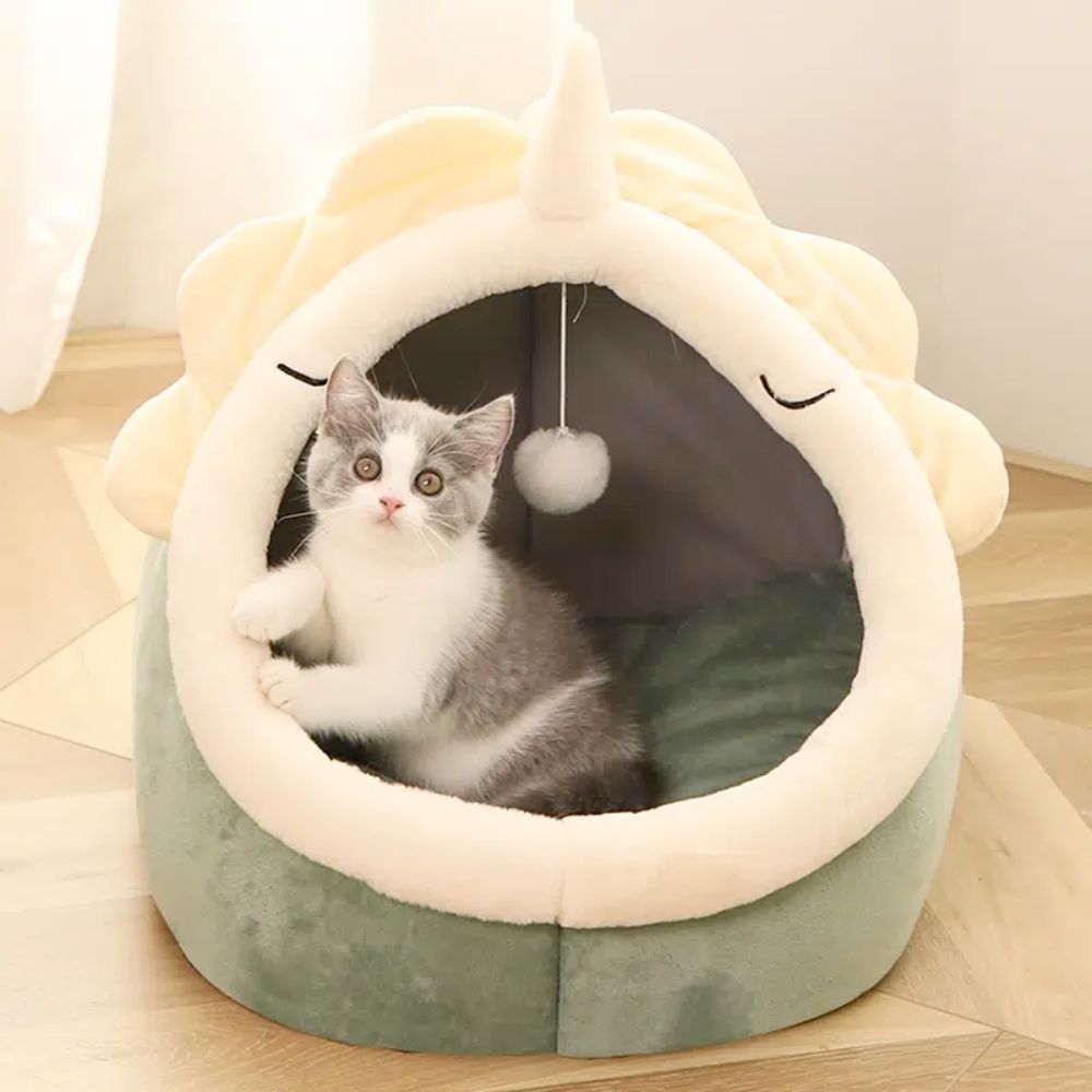 Adorable Dinosaur Pet House with Toy for Cats and Small Dogs