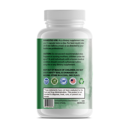 Pure Digestion – Advanced Enzyme & Probiotic Gut Support