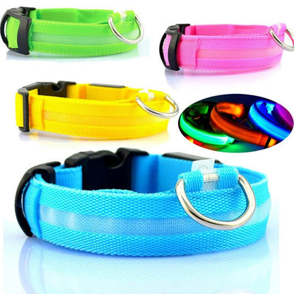 USB Rechargeable LED Pet Dog Collar for Night Visibility