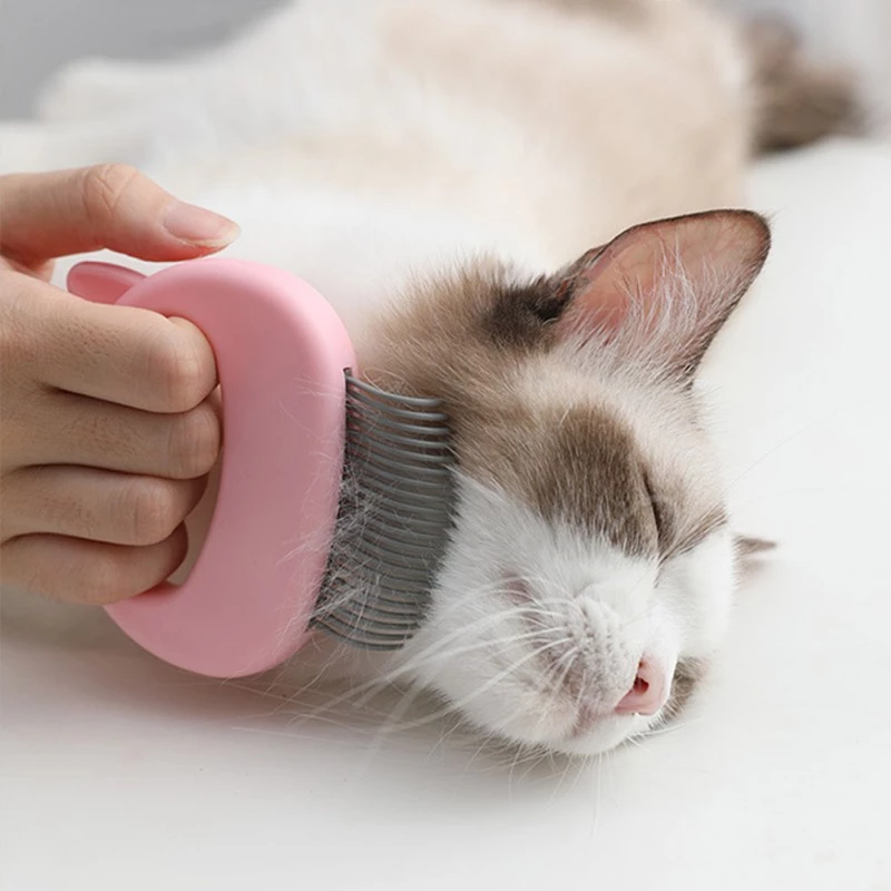 Pet Massage Brush for Gentle Grooming and Loose Hair Removal