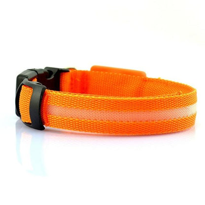 USB Rechargeable LED Pet Dog Collar for Night Visibility