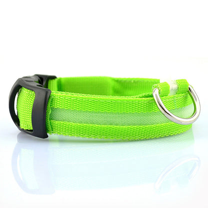 USB Rechargeable LED Pet Dog Collar for Night Visibility