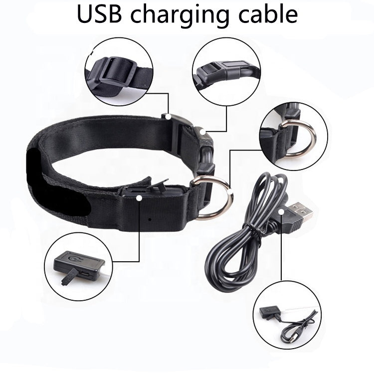 USB Rechargeable LED Pet Dog Collar for Night Visibility