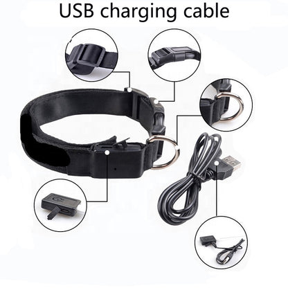 USB Rechargeable LED Pet Dog Collar for Night Visibility