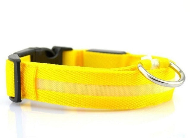 USB Rechargeable LED Pet Dog Collar for Night Visibility