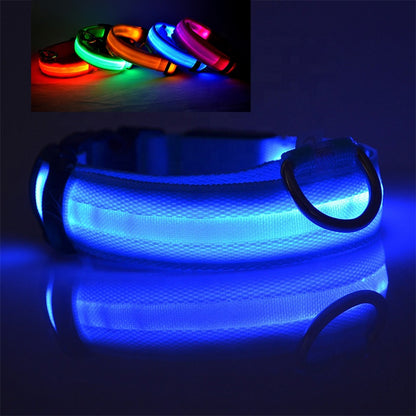 USB Rechargeable LED Pet Dog Collar for Night Visibility