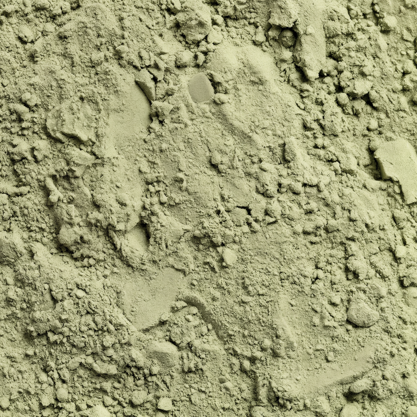 Close-up texture of Restore by Zerili Daily Greens superfood powder.