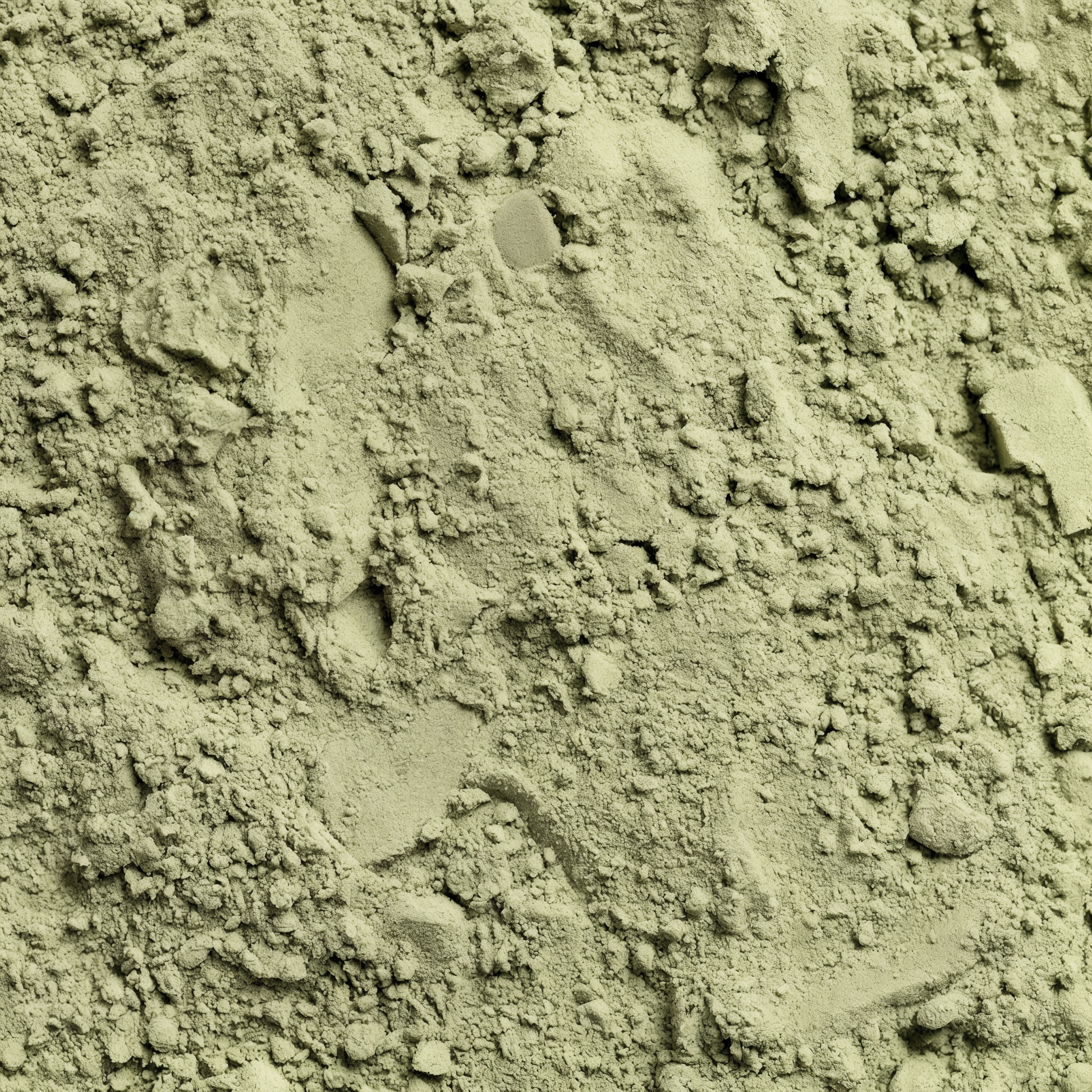 Close-up texture of Restore by Zerili Daily Greens superfood powder.