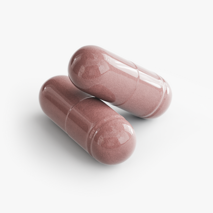 Close-up of two pink capsules for Restore by Zerili Immune Support.